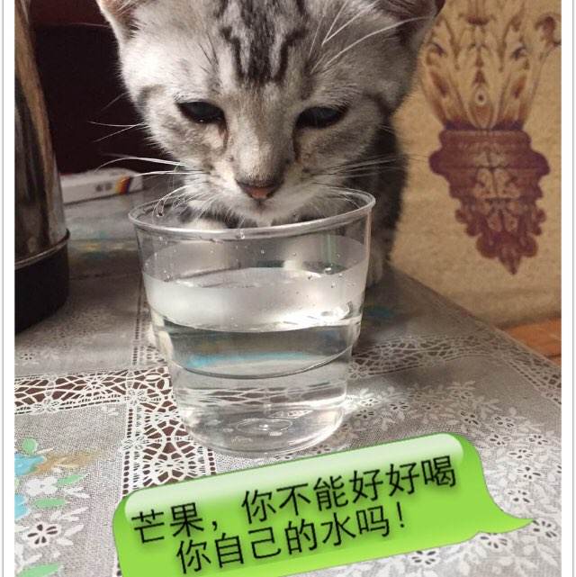 高中毕业证照片女单人照